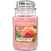 Yankee Candle - Sun-Drenched Apricot Rose - CANDLE 4 YOU