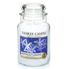 Yankee Candle - Midnight Jasmine - CANDLE 4 YOU